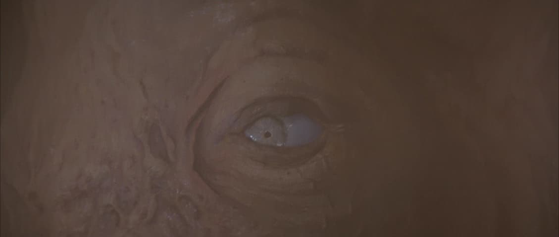 Image 1 de Dune
