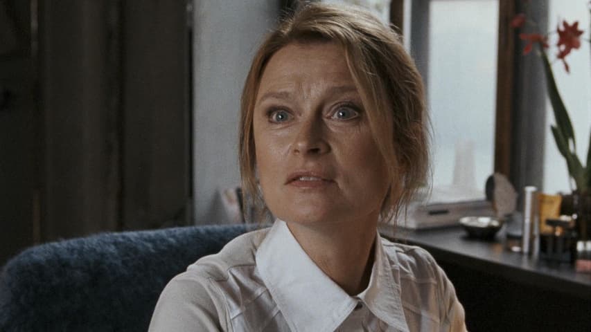 The Girl Who Kicked the Hornet's Nest frame 3