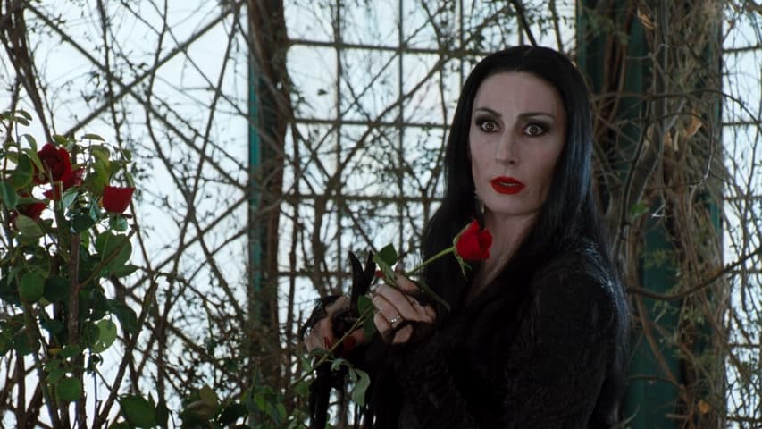 The Addams Family frame 4