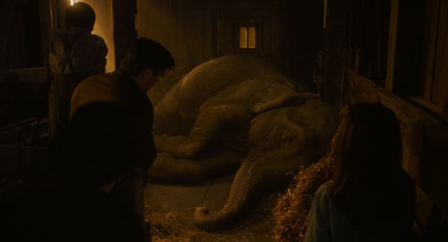 Dumbo frame 3