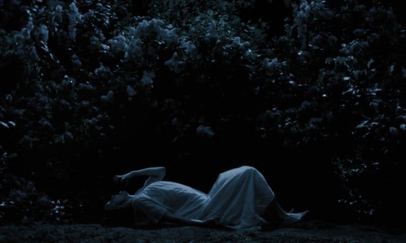 Image 4 de Nosferatu