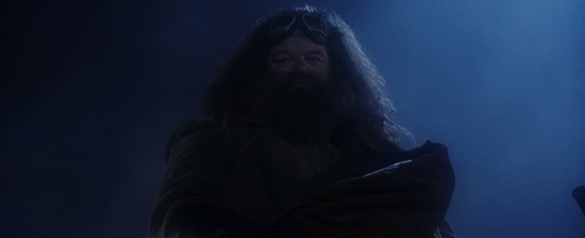 Image 3 de Harry Potter and the Philosopher's Stone