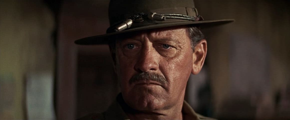 Image 4 de The Wild Bunch