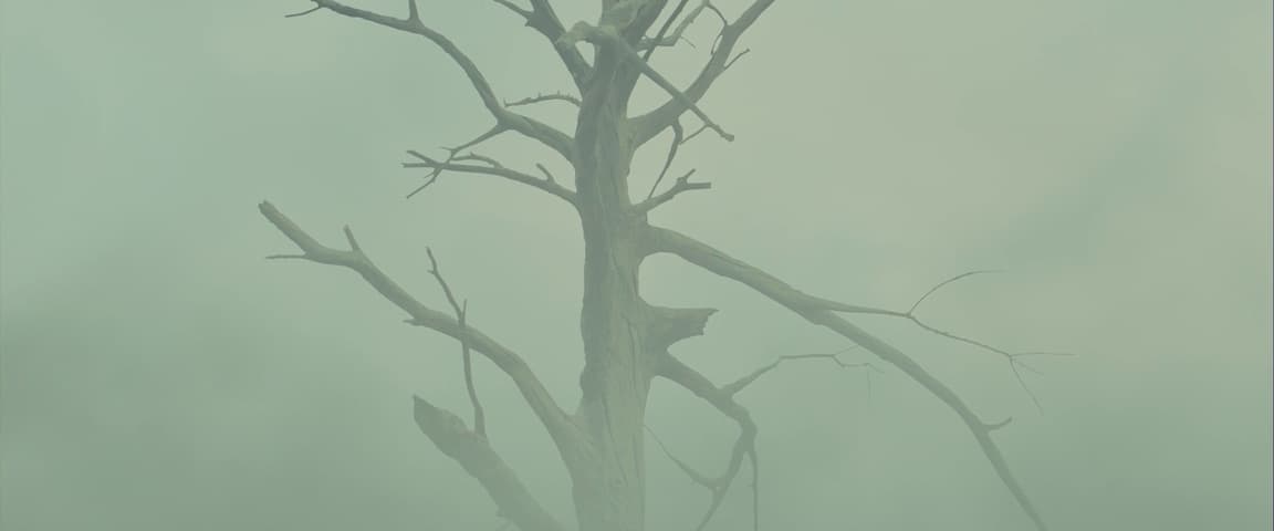 Blade Runner 2049 frame 4