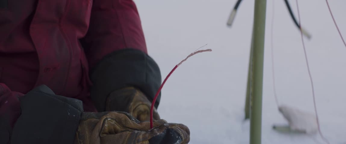 Image 2 de Arctic