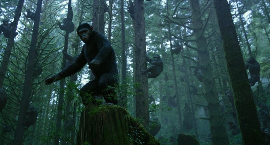 Dawn of the Planet of the Apes frame 2