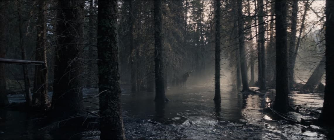 Image 3 de The Revenant