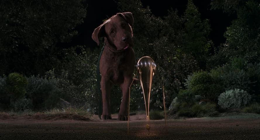 Image 1 de Men in Black II