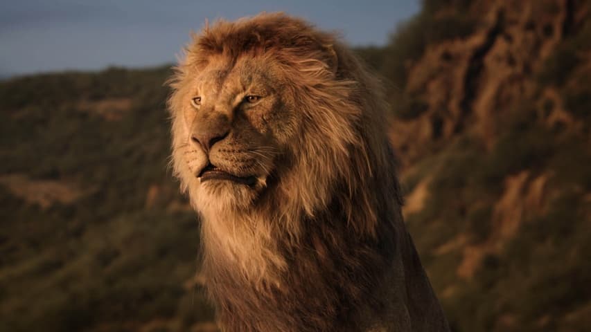 Image 1 de The Lion King