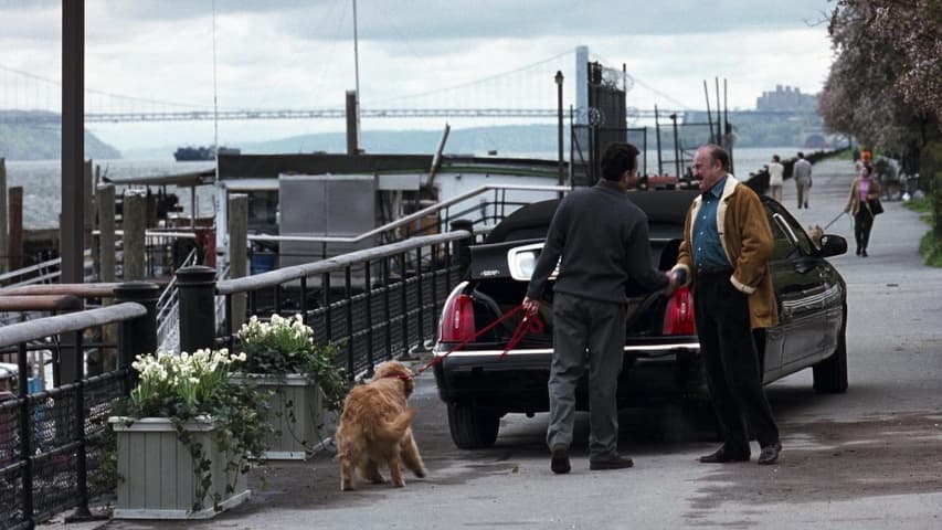 Image 2 de You've Got Mail