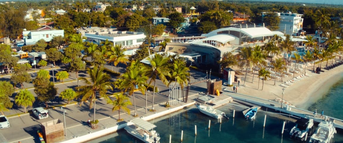 Image 3 de 47 Meters Down: Uncaged