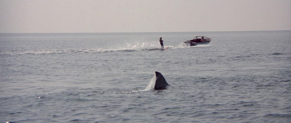 Jaws 2 frame 3