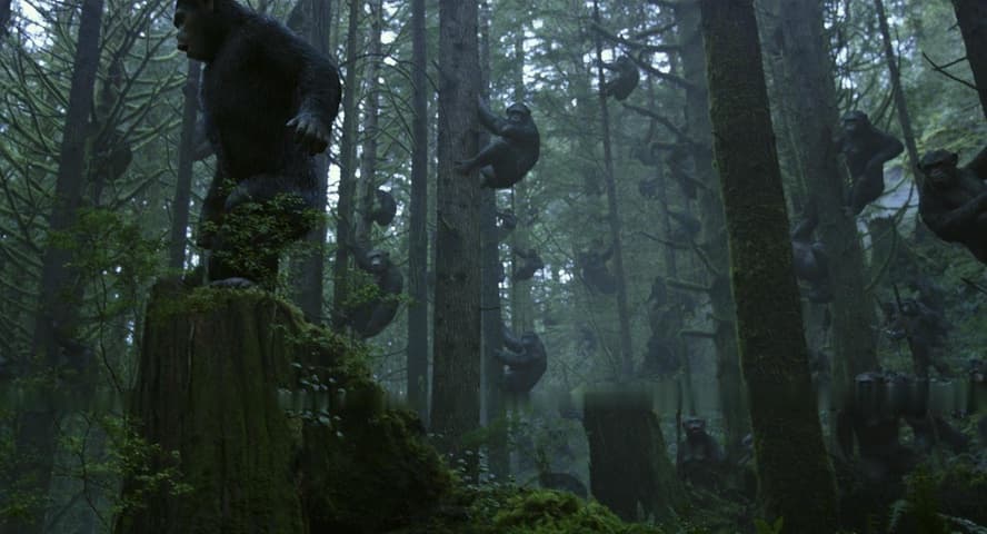 Dawn of the Planet of the Apes frame 1