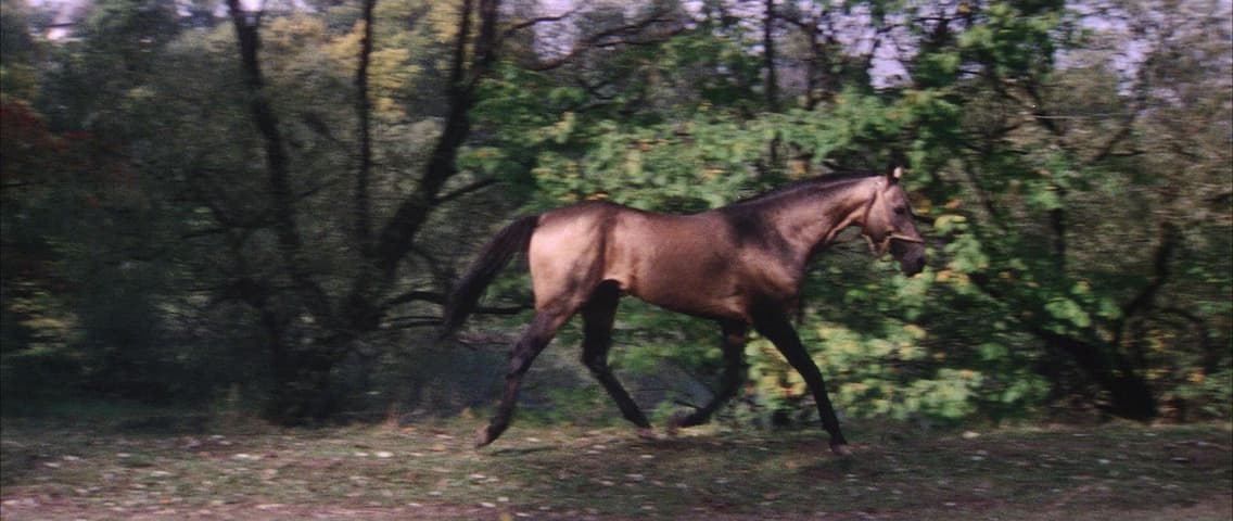 Solaris, кадр 2