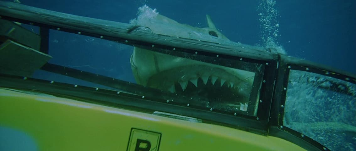 Jaws: The Revenge frame 3