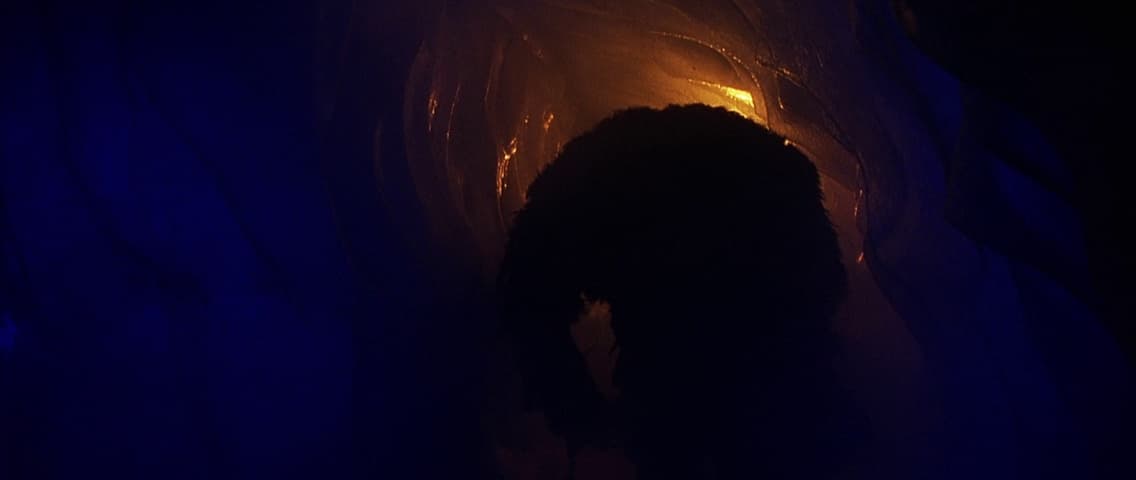 Image 3 de The X-Files