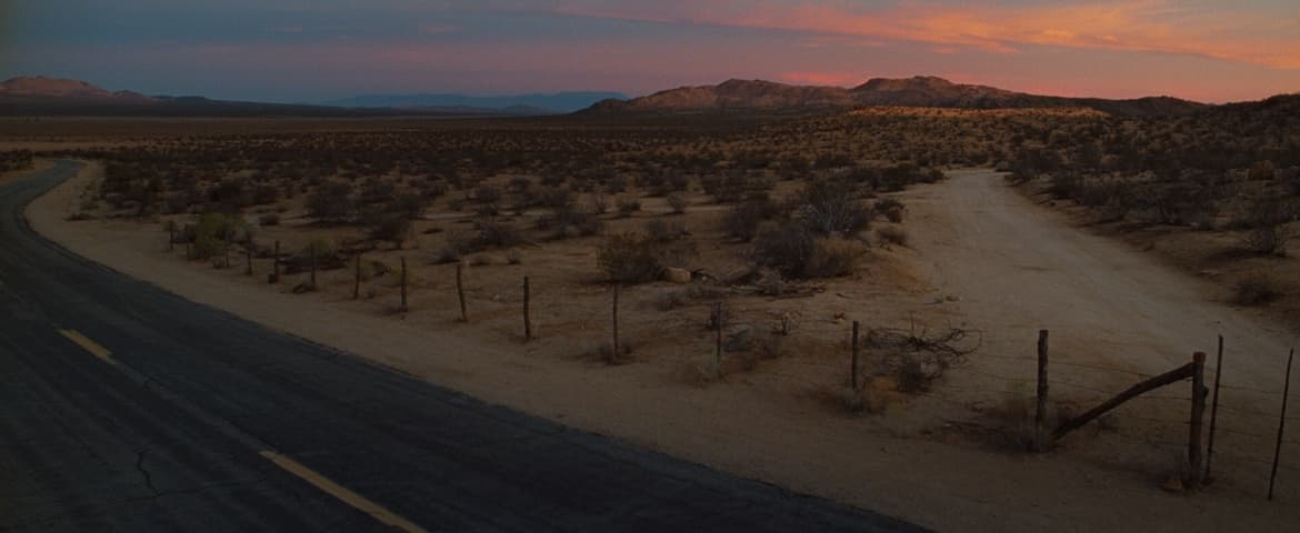 Image 2 de Nocturnal Animals