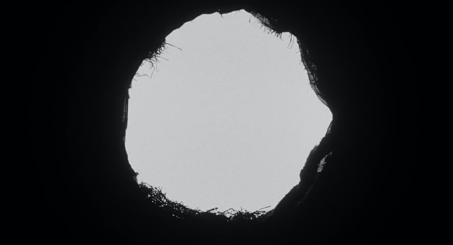 Image 2 de Eraserhead