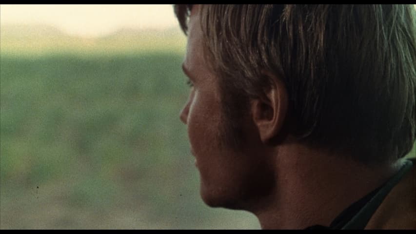 Midnight Cowboy, кадр 4