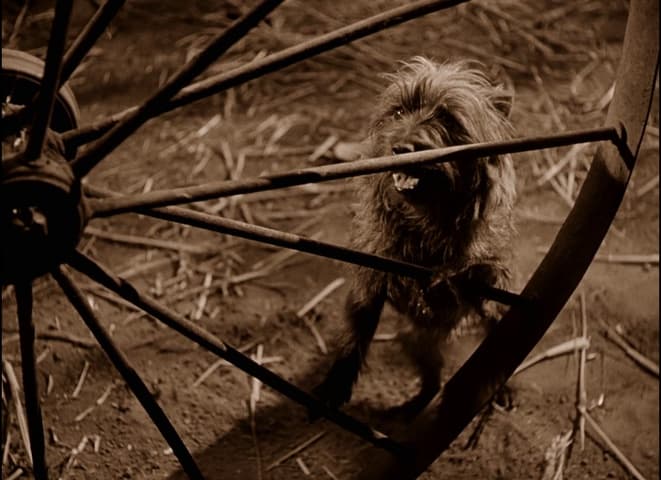 The Wizard of Oz frame 2