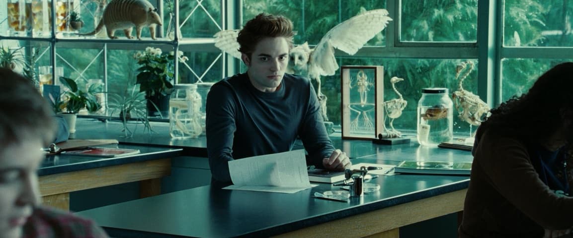 Image 4 de Twilight
