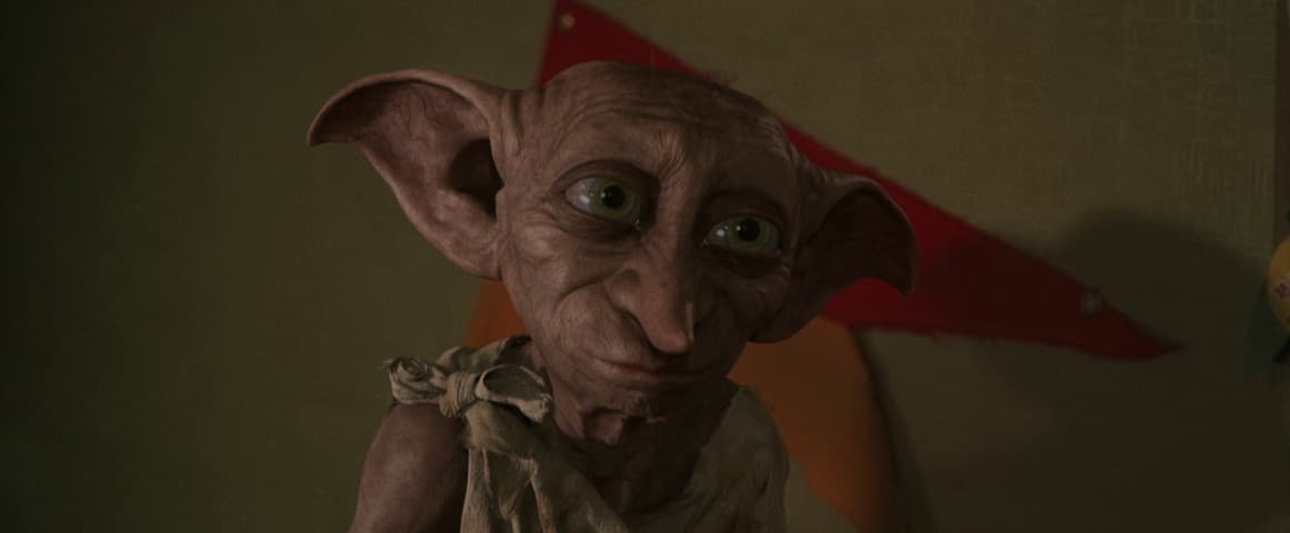 Harry Potter and the Chamber of Secrets frame 3