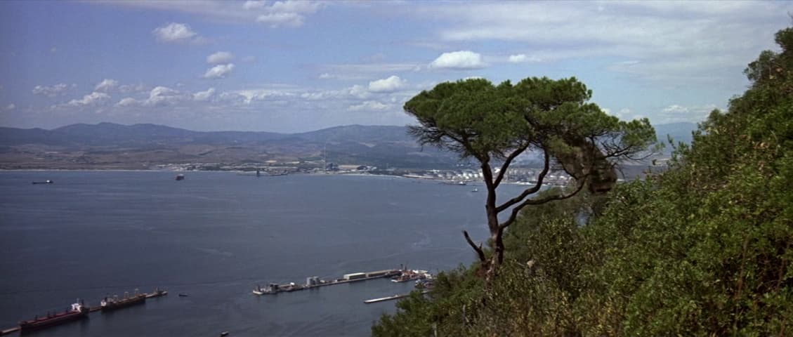 Image 1 de The Living Daylights