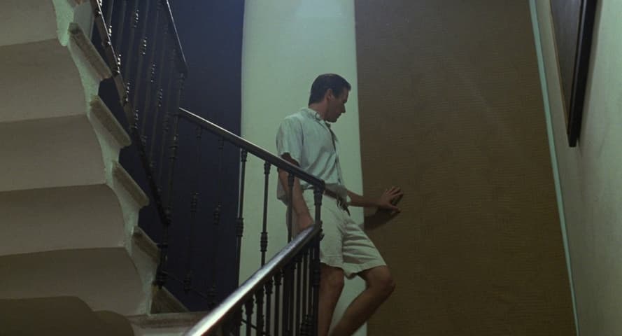Image 3 de Call Me by Your Name