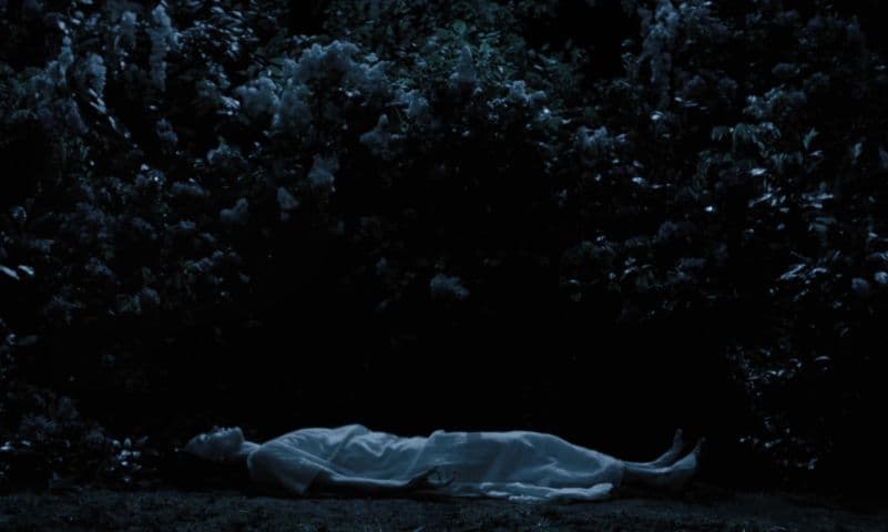 Image 3 de Nosferatu