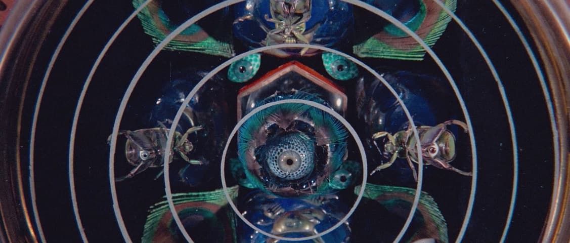Image 1 de The Holy Mountain