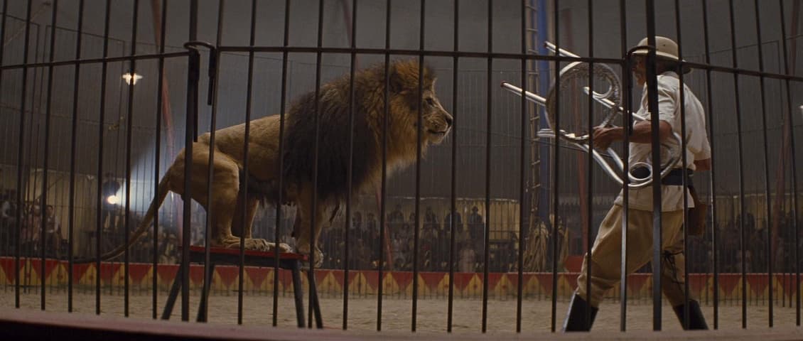Image 1 de Water for Elephants