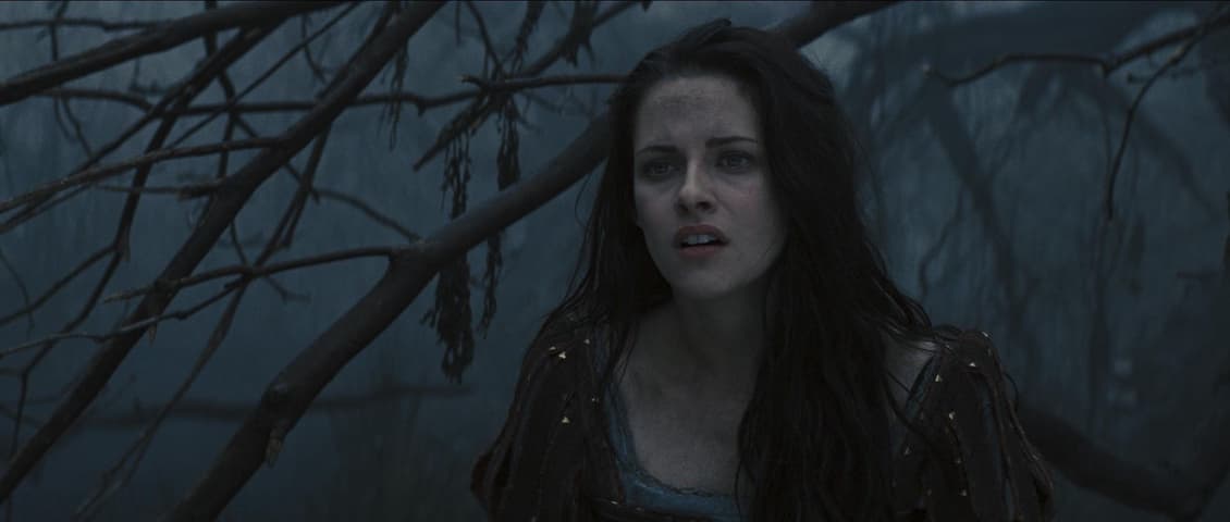 Image 1 de Snow White and the Huntsman