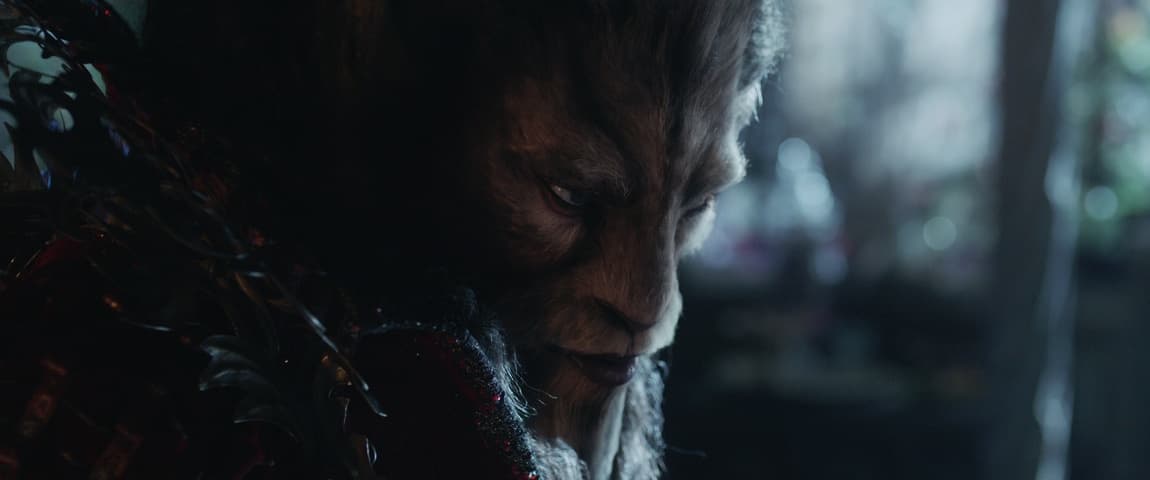 Beauty and the Beast, кадр 1