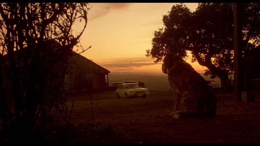Cujo frame 3