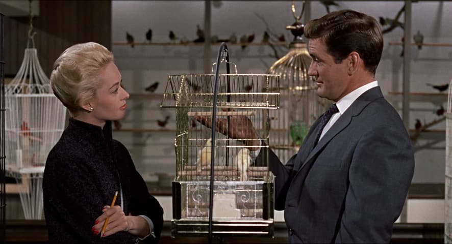 Image 2 de The Birds