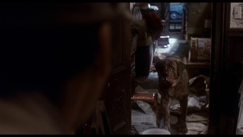 Cujo frame 1