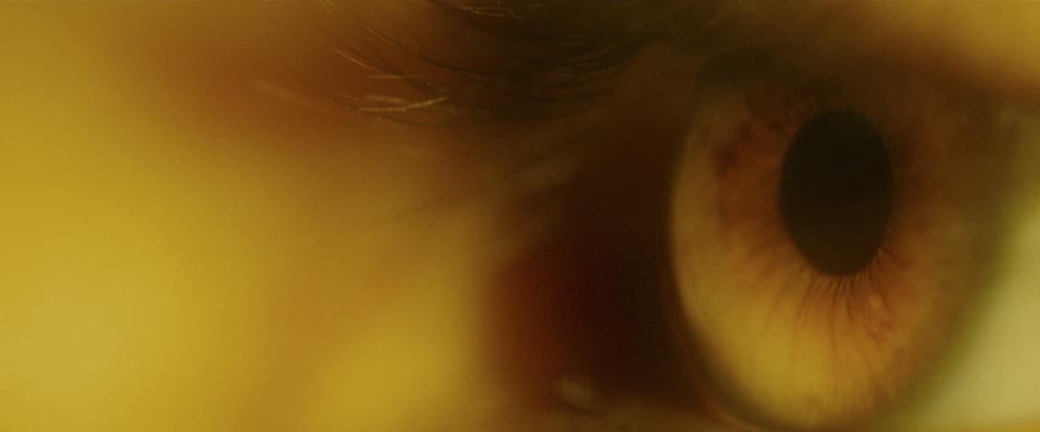 The Theory of Everything frame 3