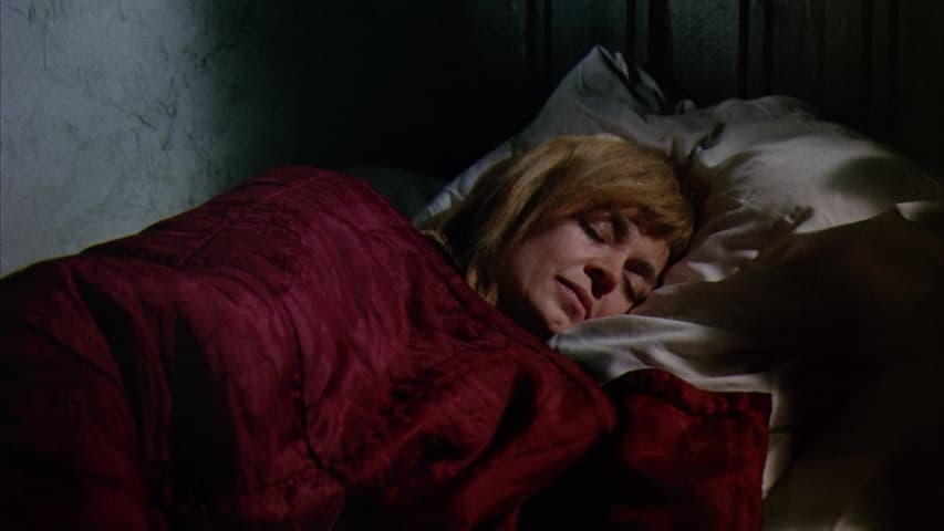 Willy Wonka & the Chocolate Factory frame 2