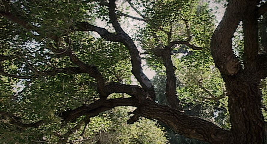 Image 4 de Inland Empire