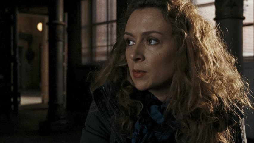 The Girl Who Kicked the Hornet's Nest frame 1