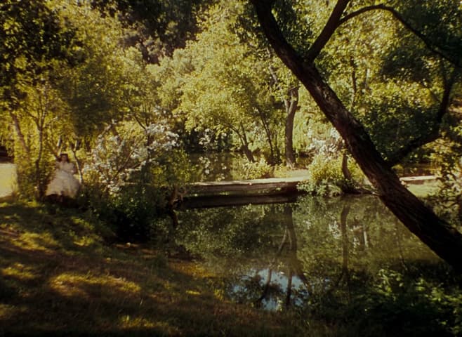 Image 1 de Gone with the Wind