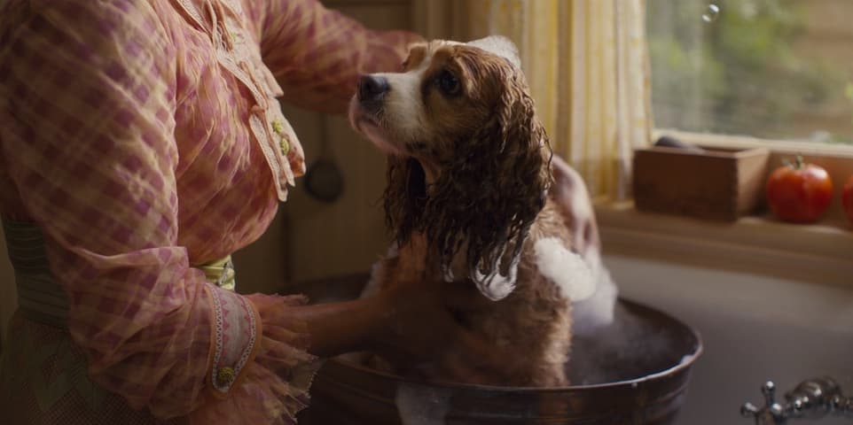 Lady and the Tramp frame 4