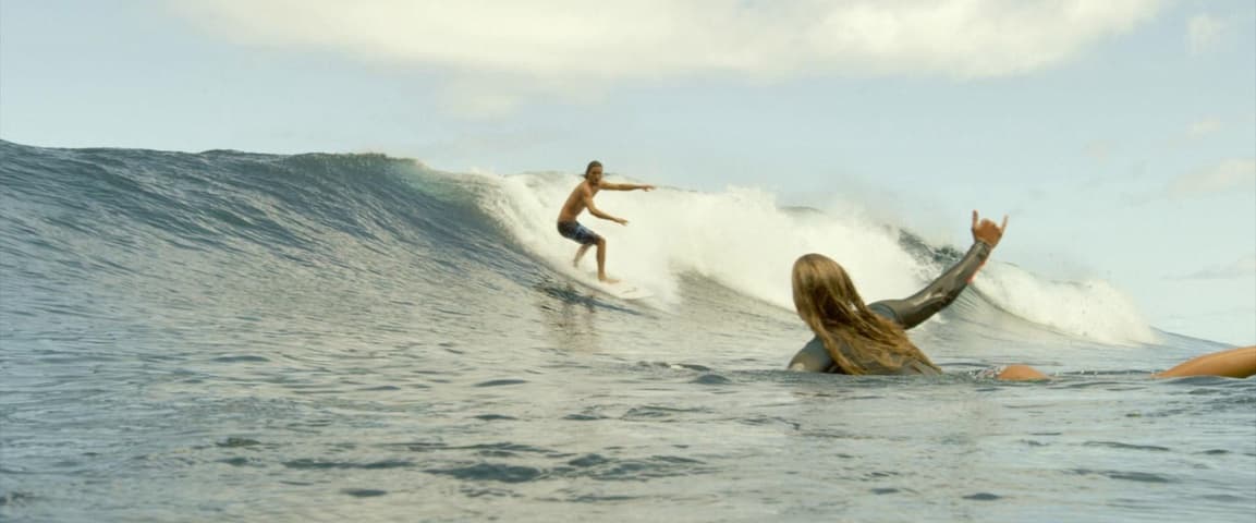 Image 1 de The Shallows