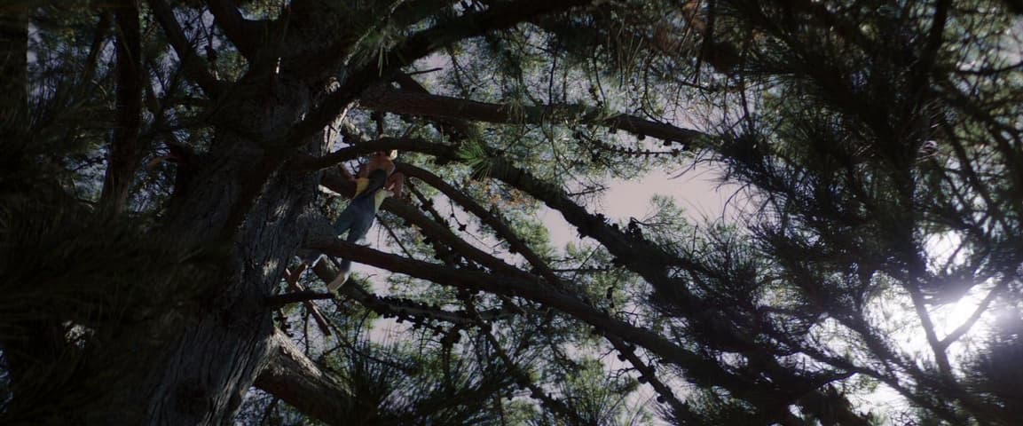 Image 3 de Pete's Dragon