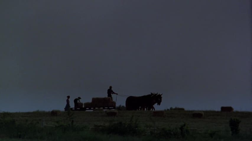Witness frame 1