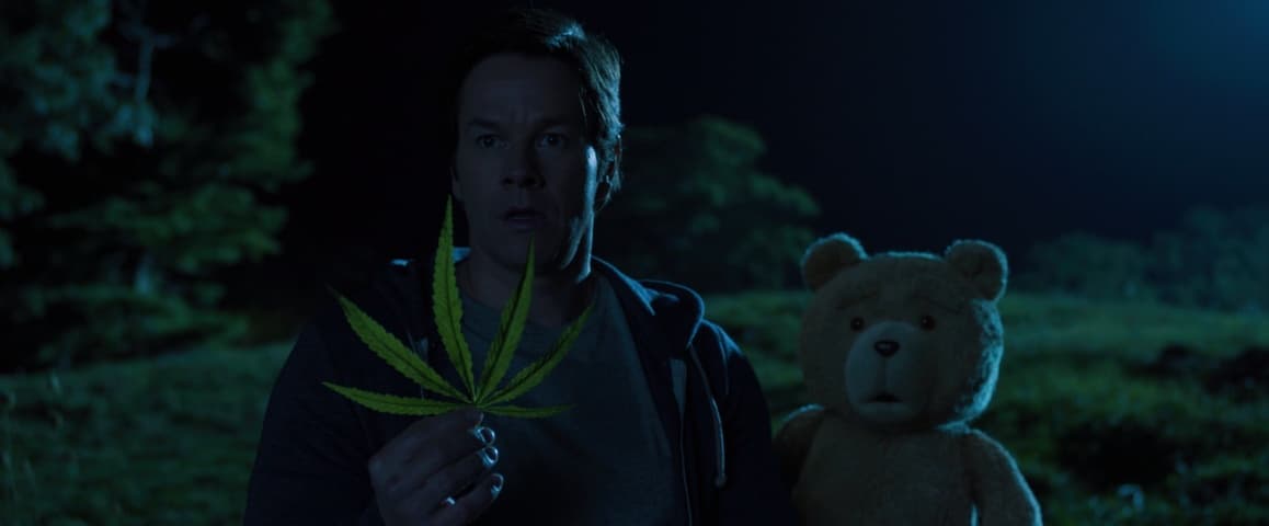 Image 3 de Ted 2