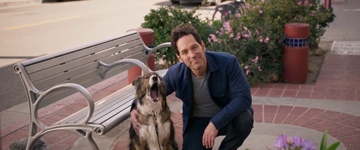 Image 1 de Ant-Man and the Wasp: Quantumania