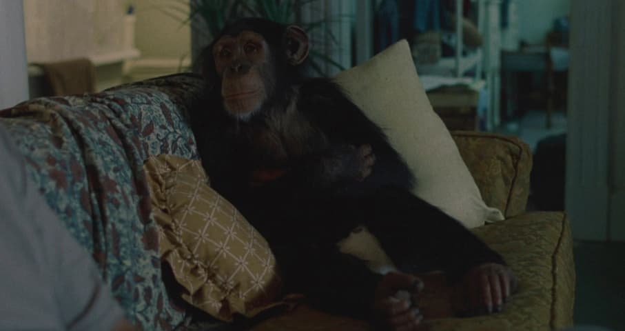Image 3 de Being John Malkovich