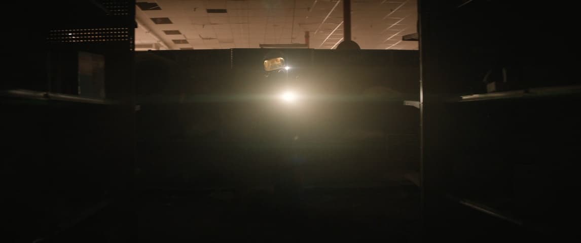 Image 1 de Finch
