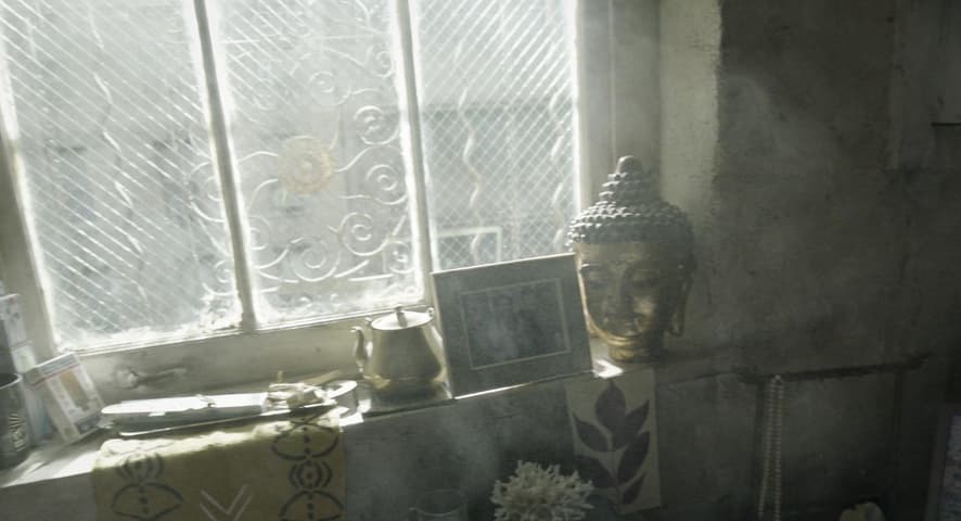 Birdman or (The Unexpected Virtue of Ignorance) frame 4